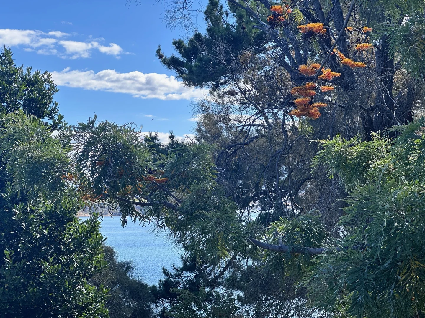 Additional image 42 of 15 View Street, Midway Point TAS 7171