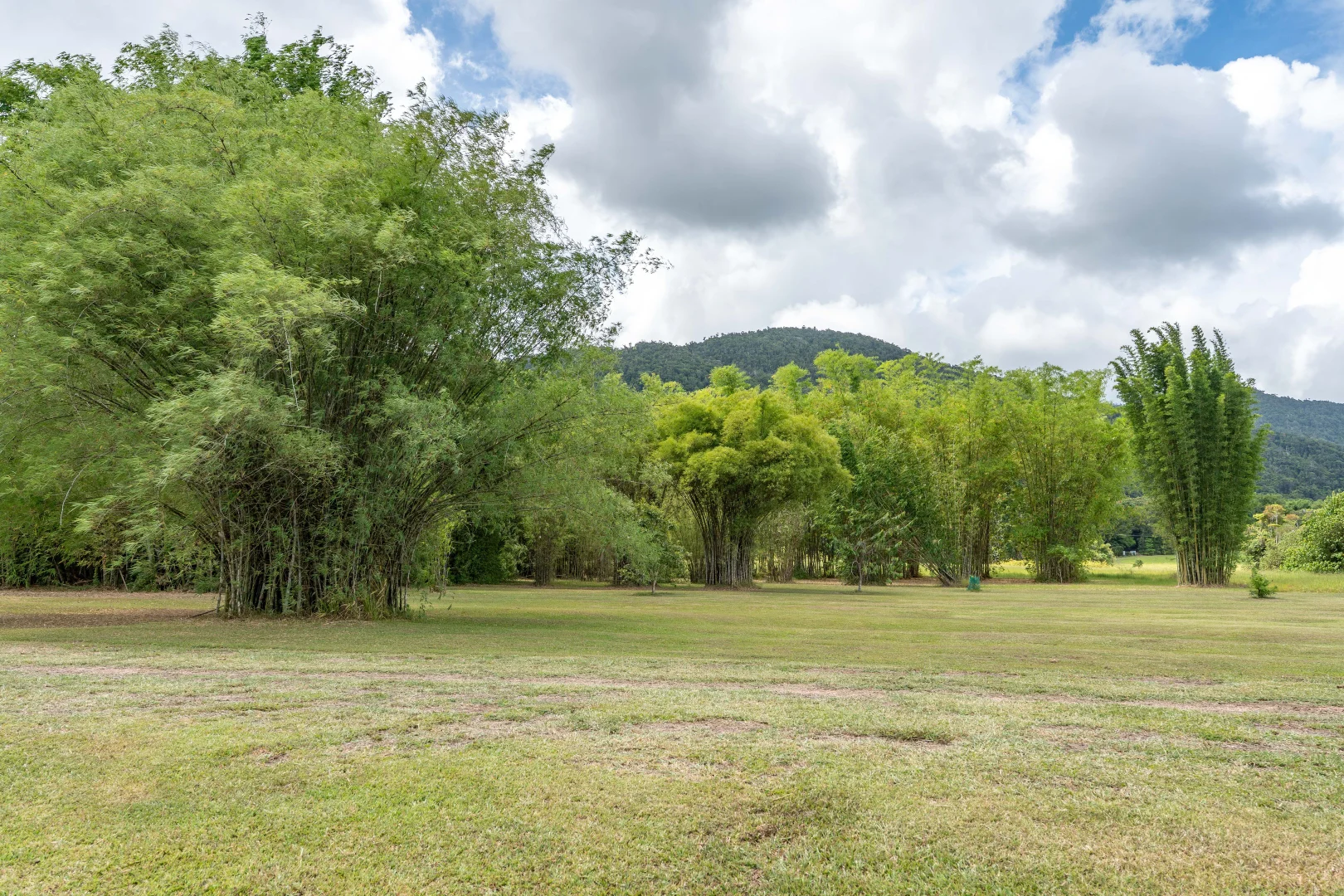 Additional image 37 of 39 O'Hanlon Rd, Feluga QLD 4854