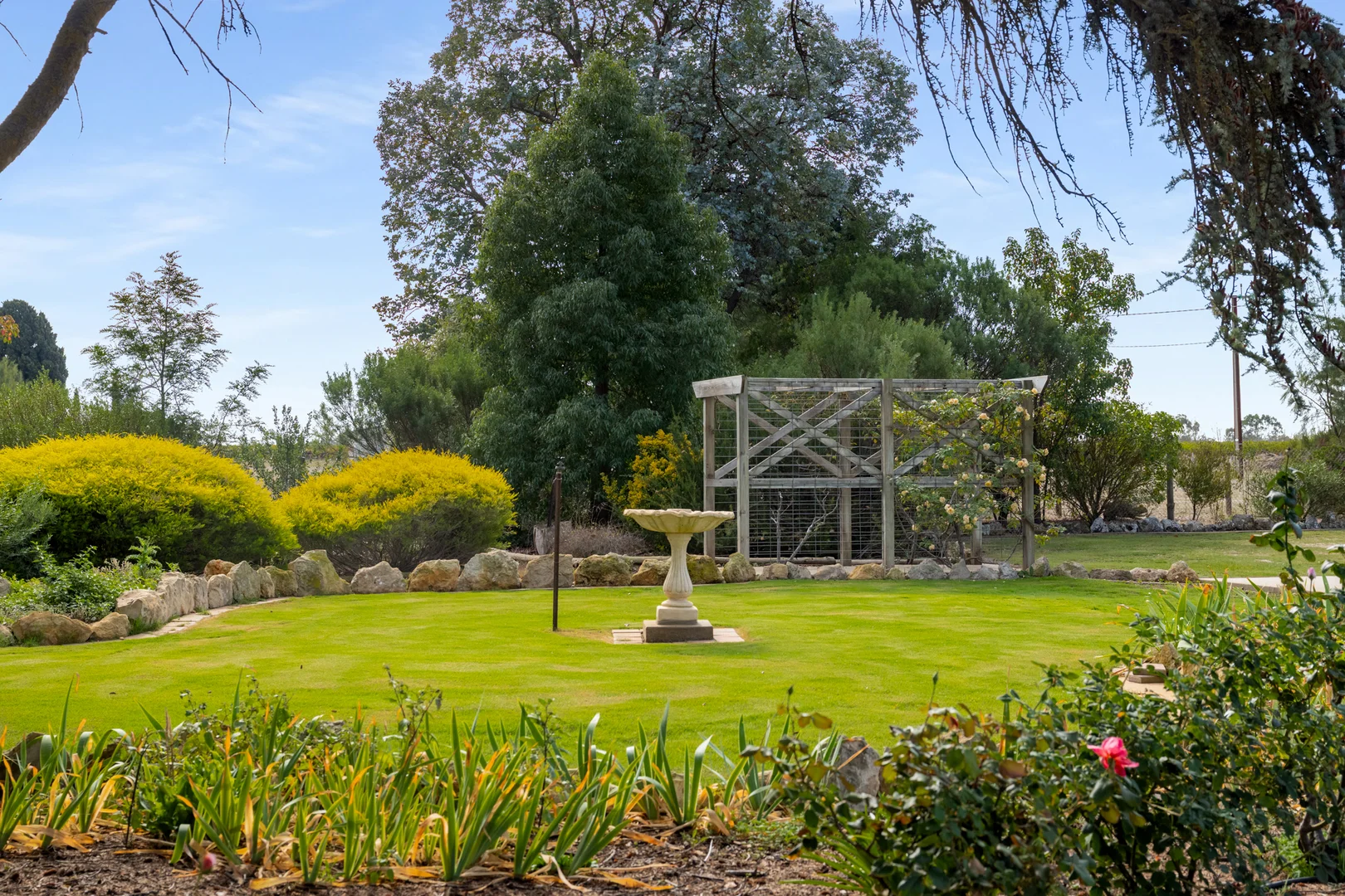 Additional image 43 of 14687 Riddoch Hwy, Coonawarra SA 5263