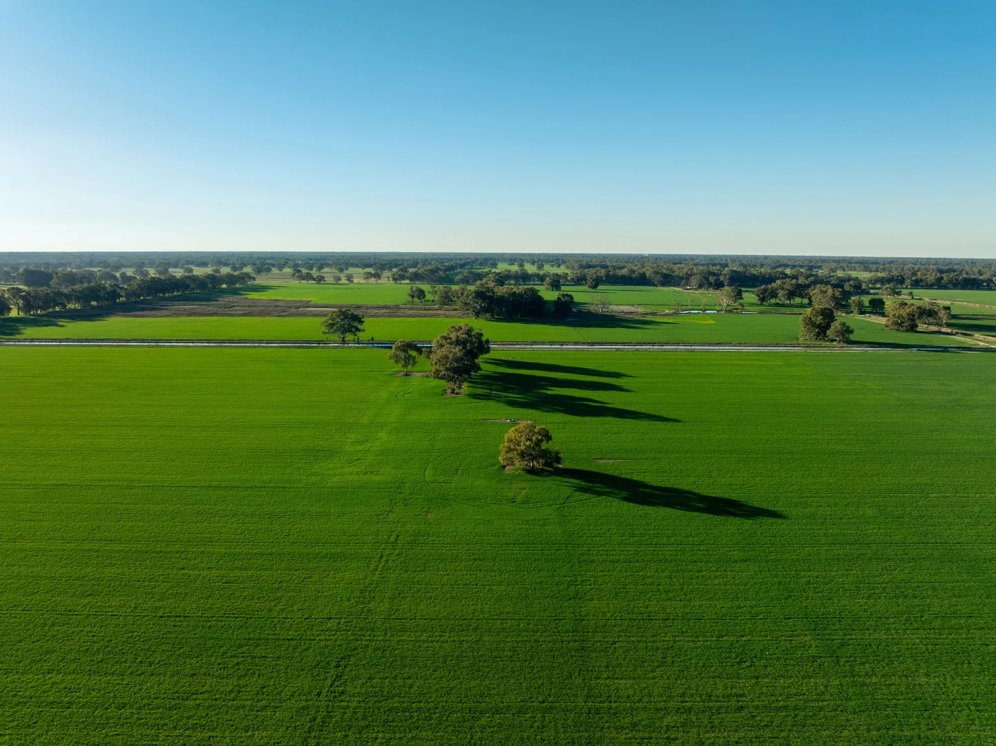 Additional image 16 of 479 Stokes Road, Strathmerton VIC 3641