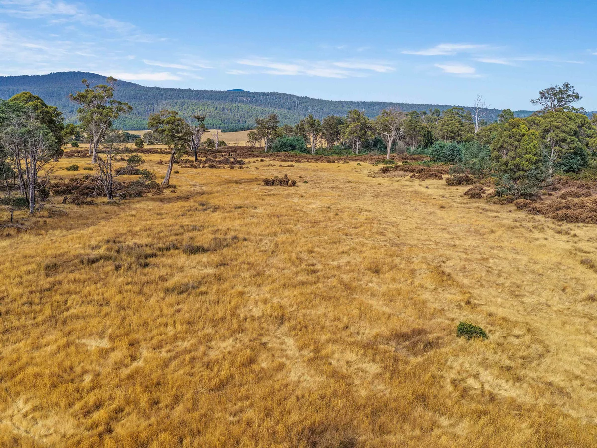 Additional image 29 of 179 Cluan Road, Cluan TAS 7303