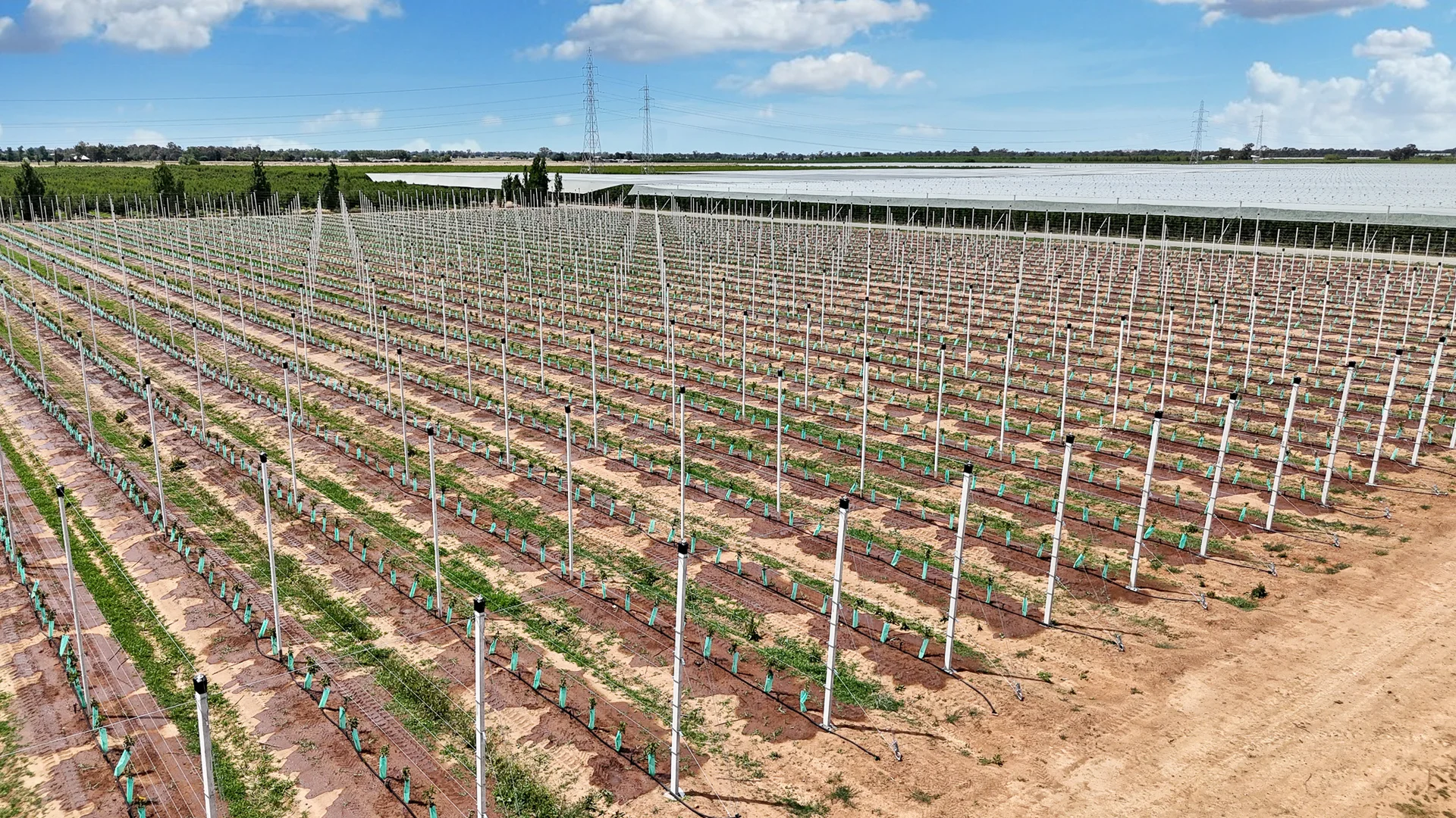 Additional image 13 of Orrvale VIC 3631