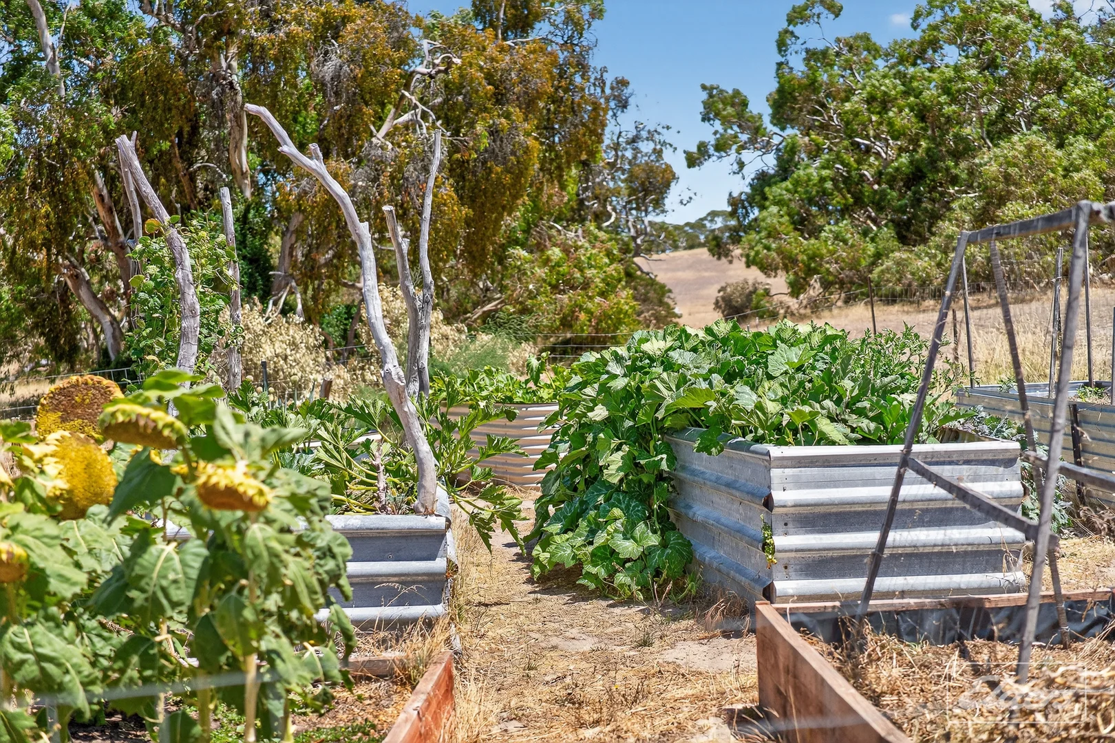 Additional image 43 of 839 Signal Flat Road, Finniss SA 5255