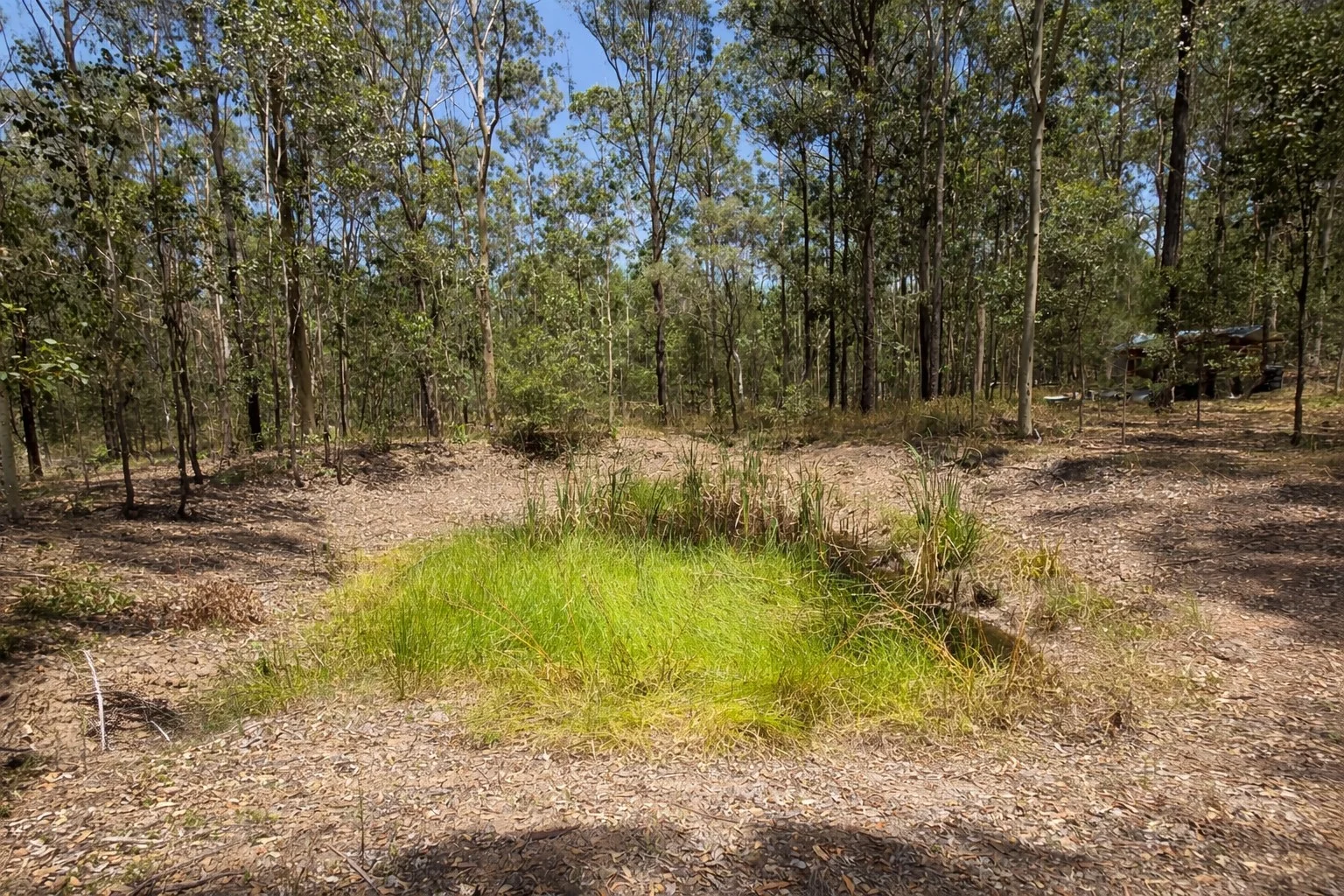 Additional image 10 of Lot 9 Old Six Mile Lane, Glenugie NSW 2460