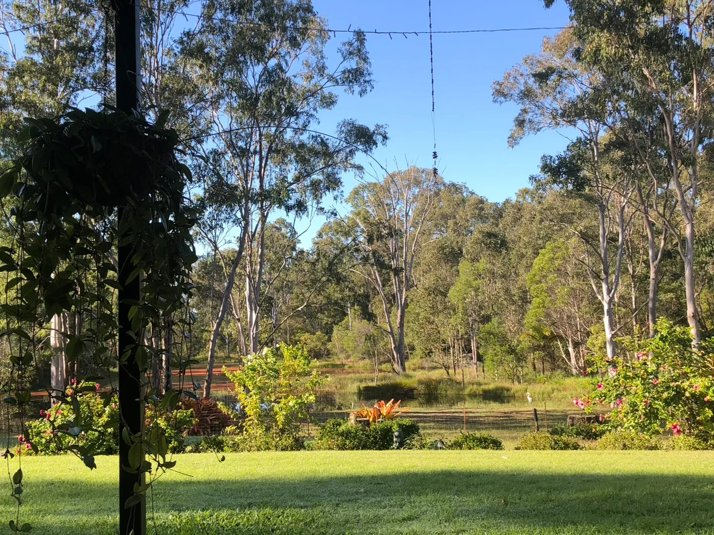 Additional image 8 of 847 Old Gympie Road, Paterson QLD 4570