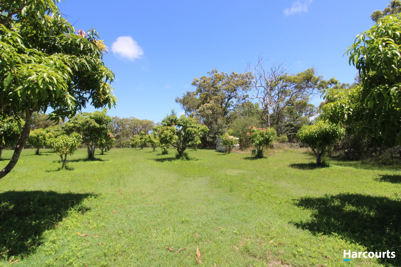 Additional image 4 of 397 Capricornia Drive, Deepwater QLD 4674