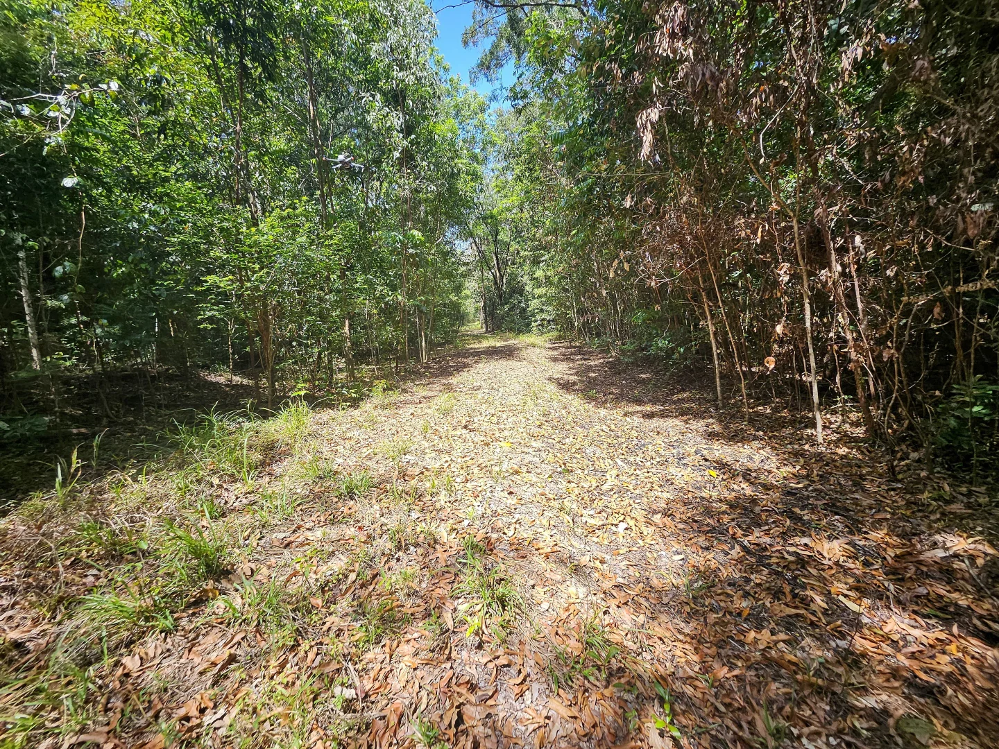 Additional image 10 of 2401 Rossville Bloomfield Road, Bloomfield QLD 4895