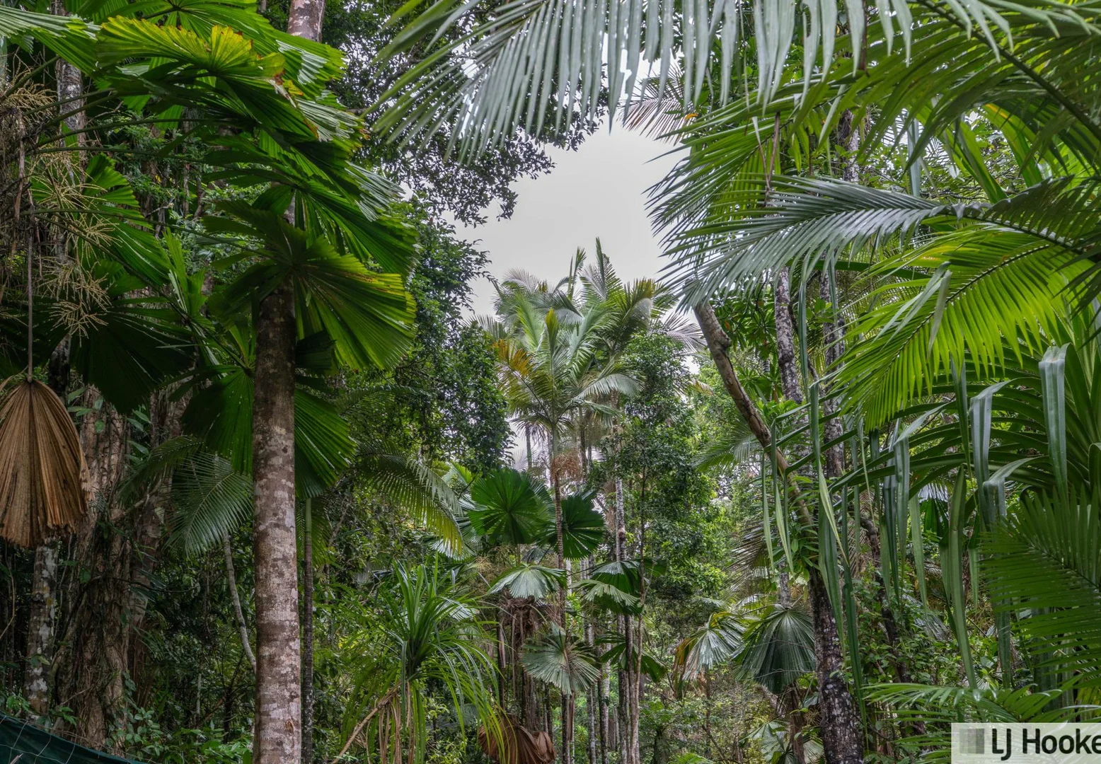 Additional image 15 of 37 Waterfall Place, Jubilee Heights QLD 4860