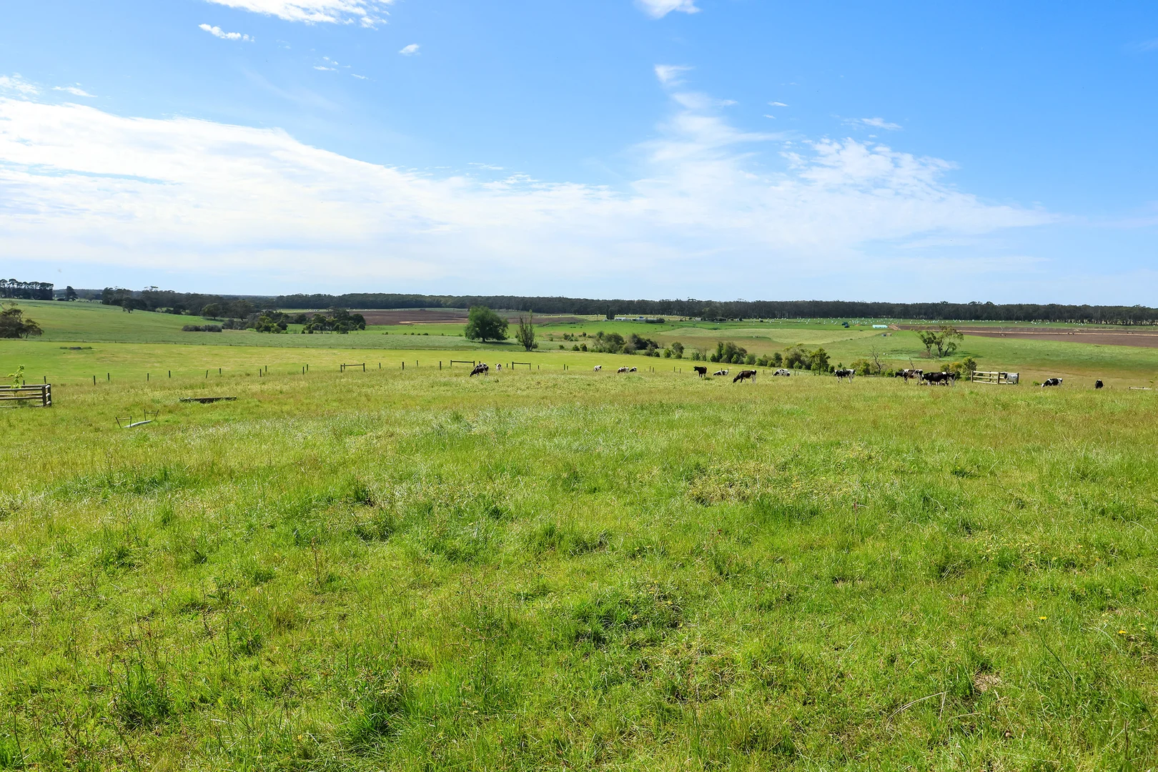 Additional image 45 of 335 Rollos Road, Panmure VIC 3265