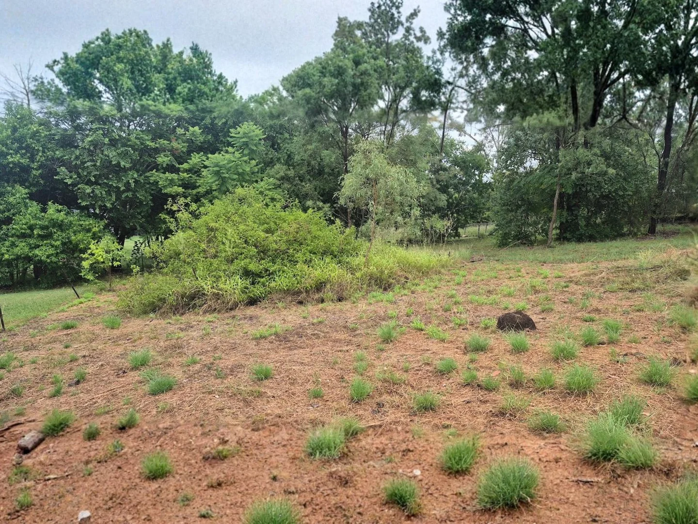 Additional image 4 of 6 Mayne Street, Goomeri QLD 4601