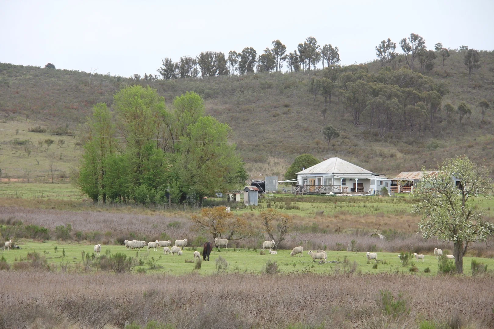 Additional image 2 of 2008 Kiowarrah Road, Bevendale NSW 2581