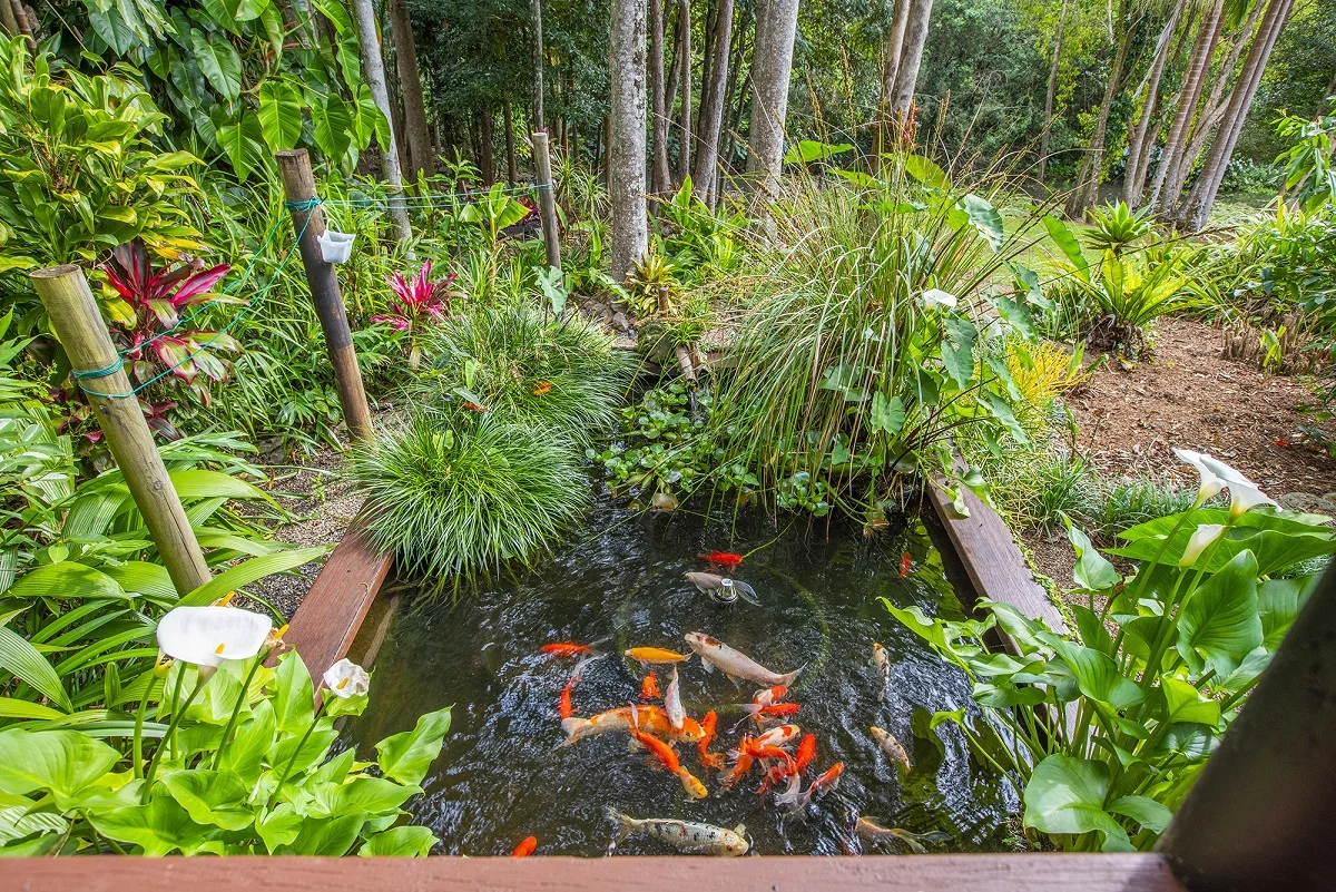 Additional image 7 of 10 Angus Place, Ewingsdale NSW 2481