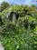 Additional image 11 of Garth Road, Newlyn, TR18 5QJ