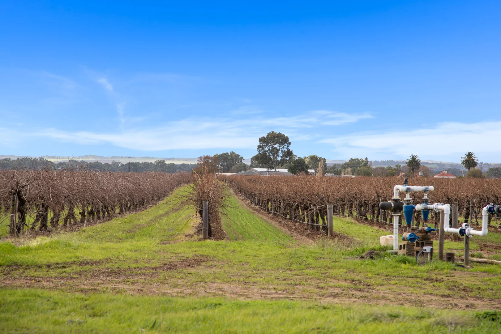 Additional image 5 of Lot 351 Angaston Road, Nuriootpa SA 5355