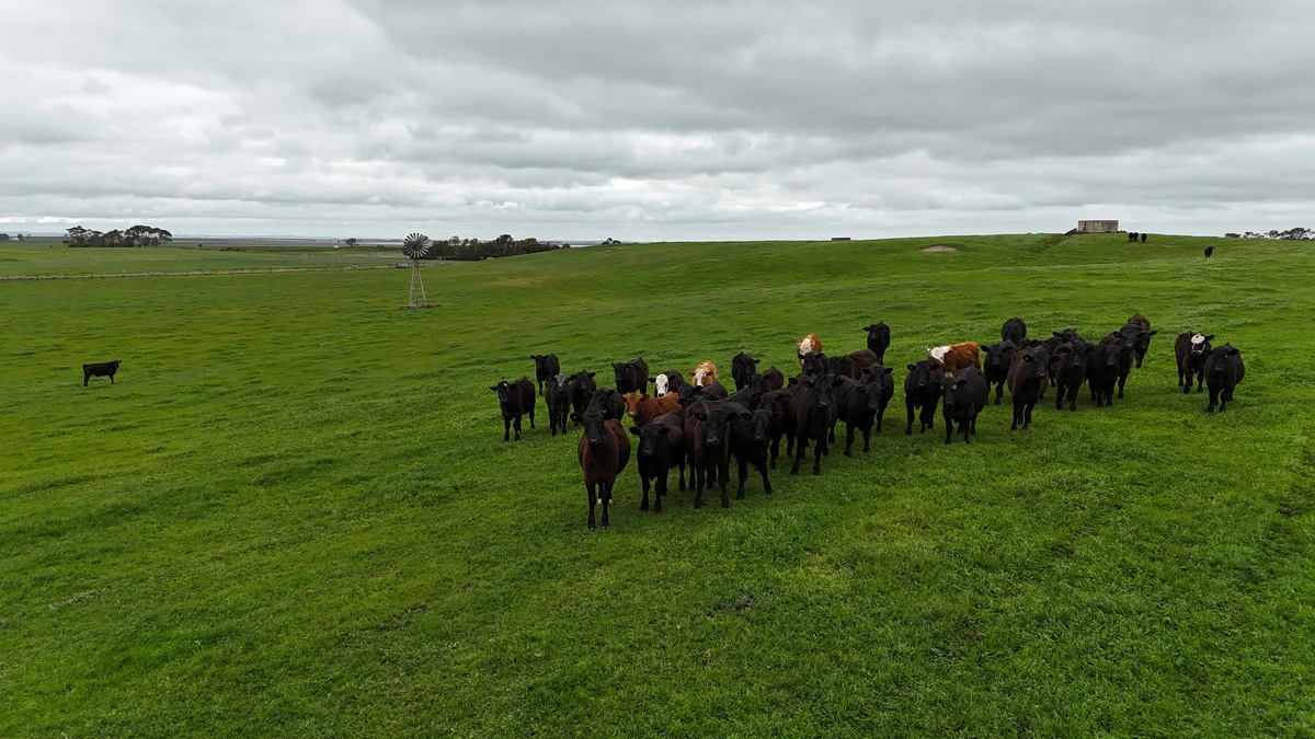 Additional image 10 of 215 Cundare-Duverney Road, Cundare North VIC 3251