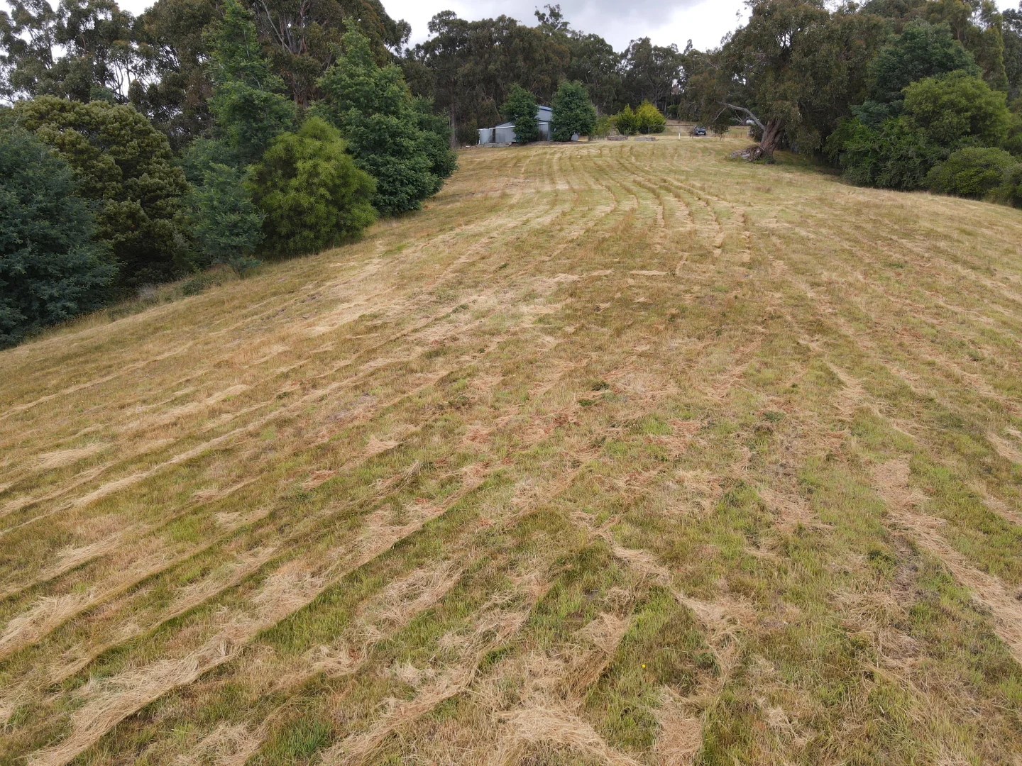 Additional image 9 of 23A White Cliffs Road, Brooks Bay TAS 7116
