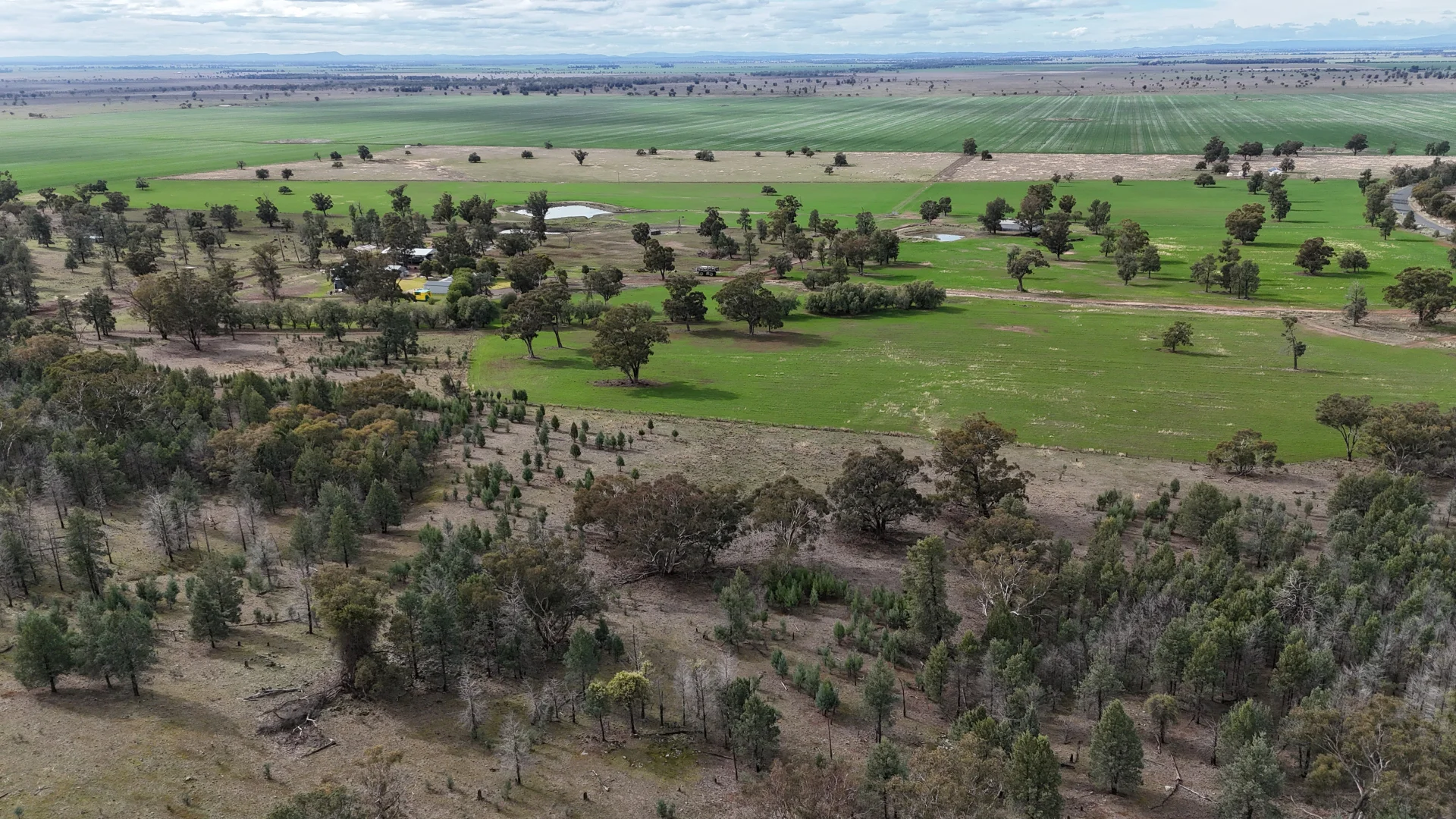 Additional image 10 of 877 Mount Tallabung Road, Forbes NSW 2871