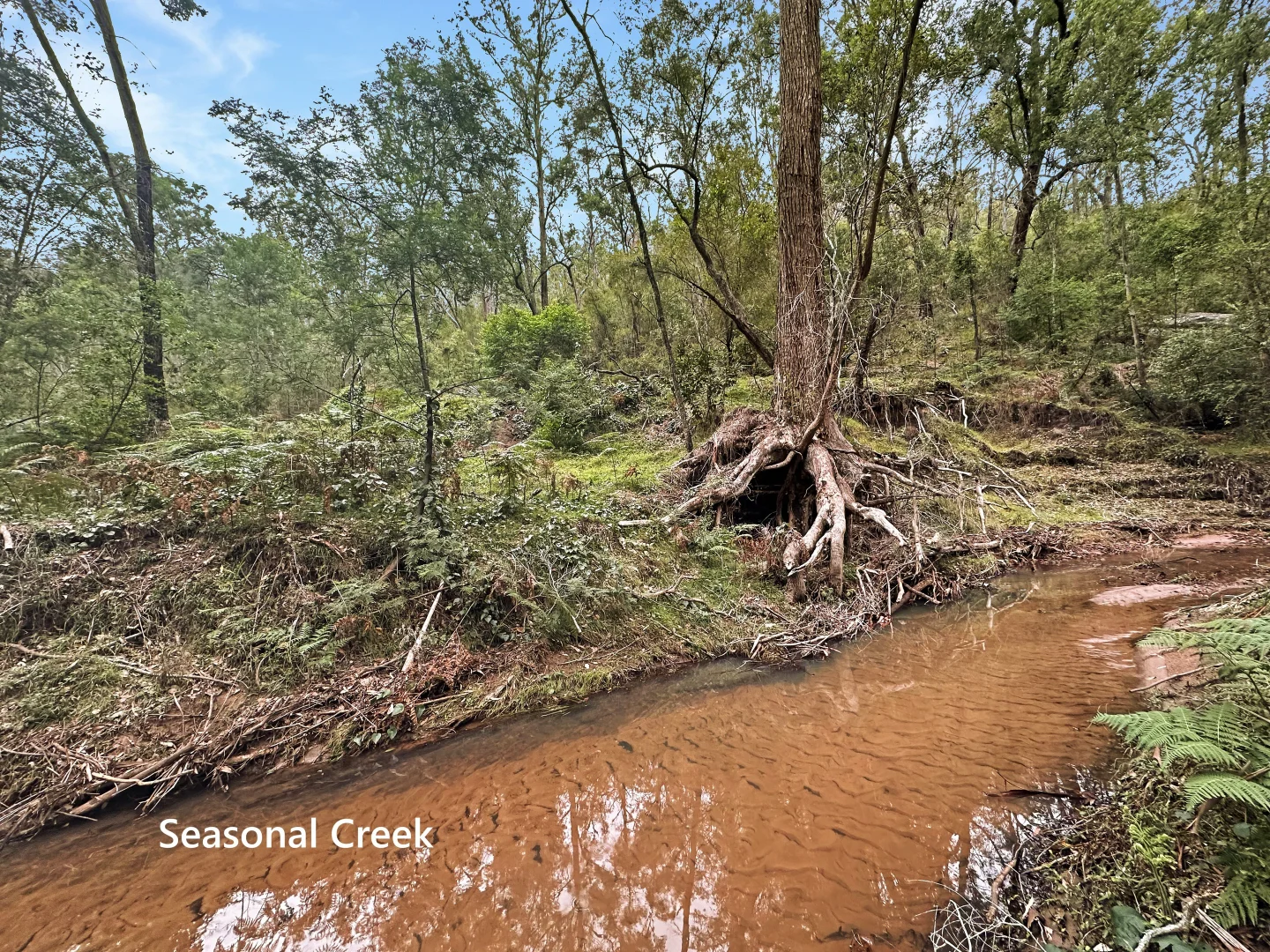 Additional image 14 of 946 Stockyard Creek Road, Paynes Crossing NSW 2325