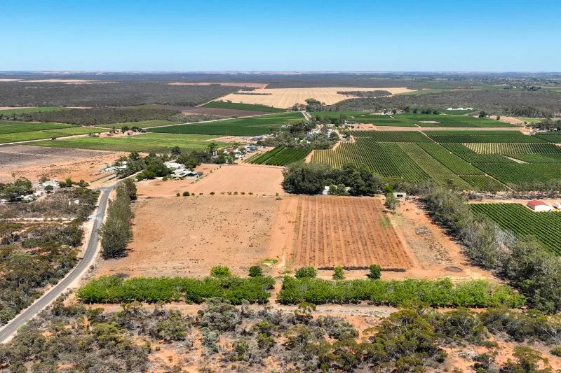 Additional image 32 of 491 Dalziel Road, Winkie SA 5343