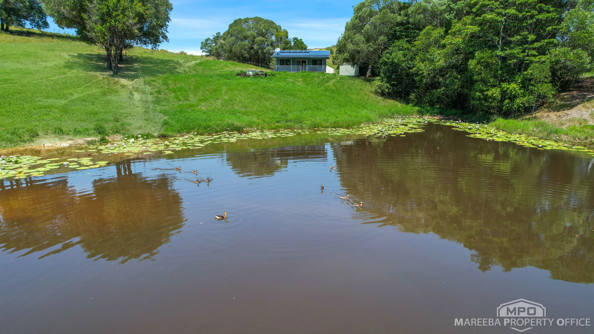 Additional image 31 of 4532 Black Mountain Road, Julatten QLD 4871