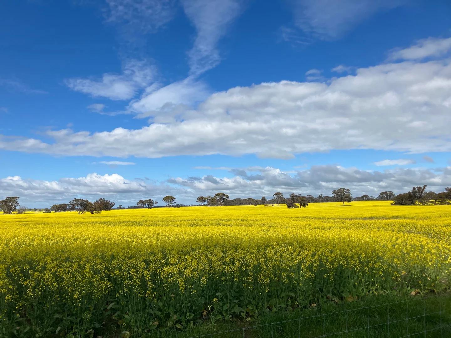 Additional image 18 of Lot 9/3 Raglan Street, Hopetoun WA 6348