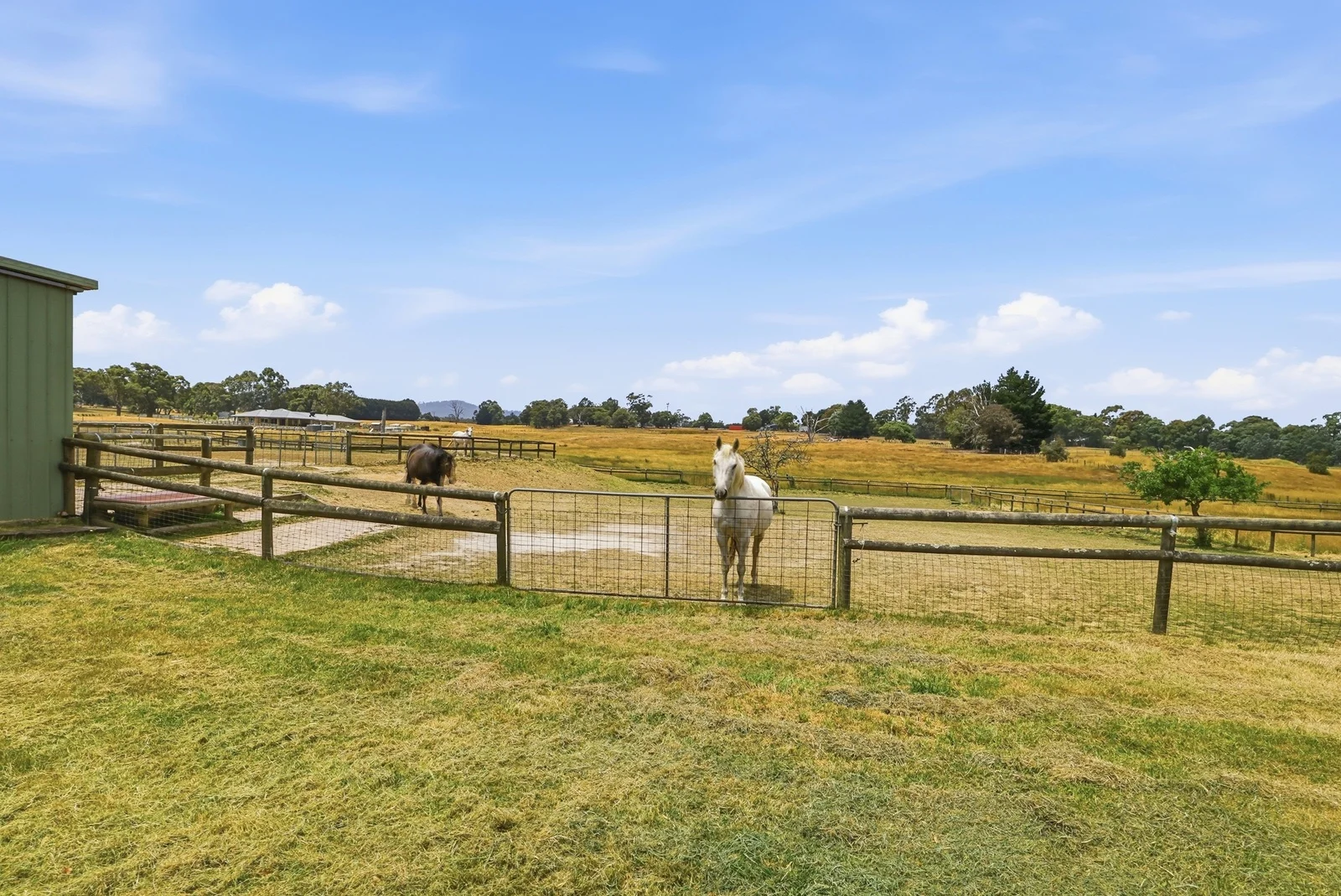 Additional image 29 of 294 Lancefield-Tooborac Road, Lancefield VIC 3435