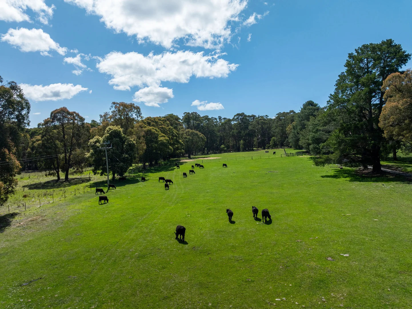 Additional image 22 of 682 Cathedral Lane, Taggerty VIC 3714