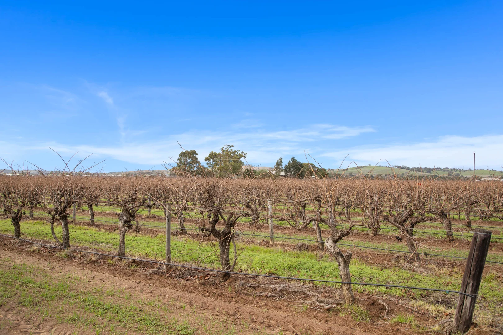 Additional image 9 of Lot 351 Angaston Road, Nuriootpa SA 5355