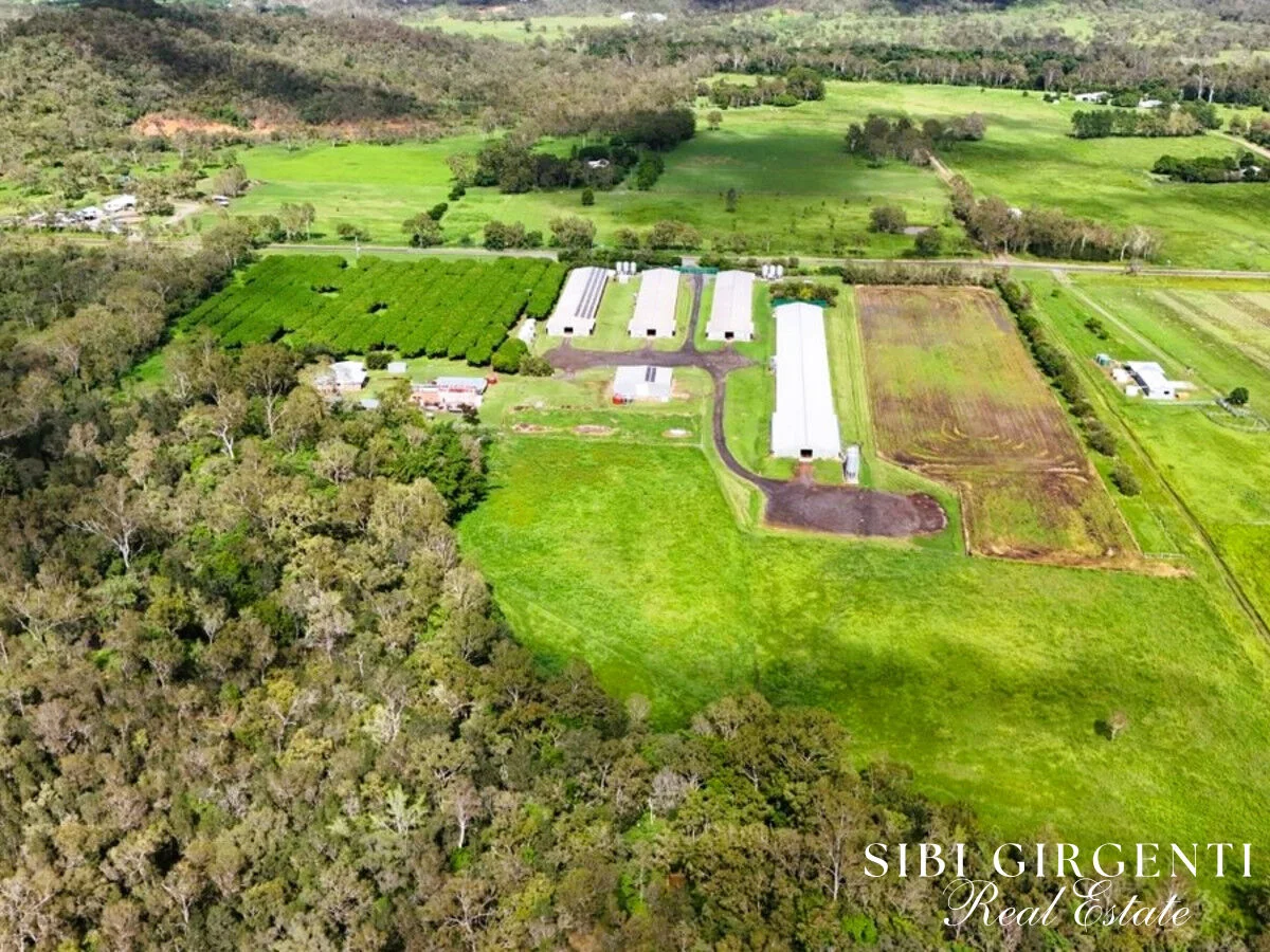 Additional image 17 of 1004 Bilwon Road, Biboohra QLD 4880