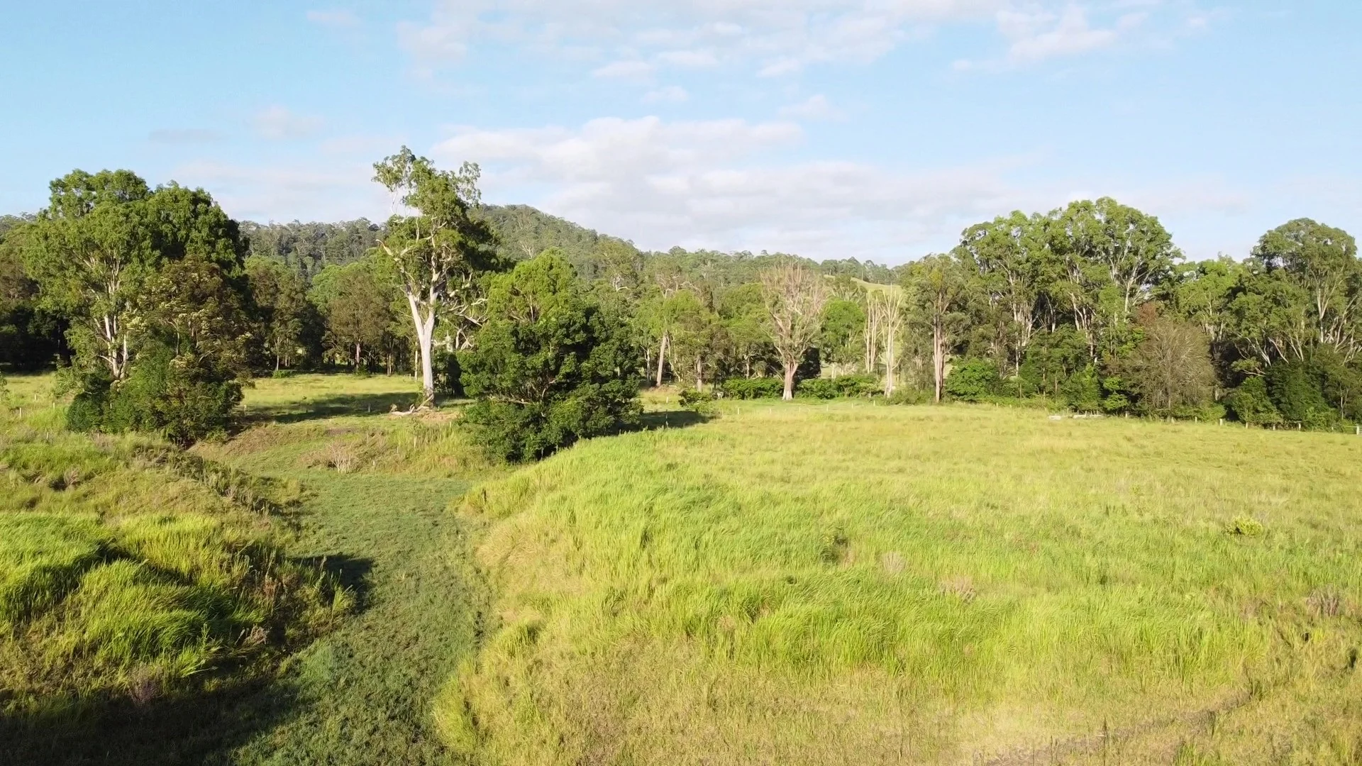 Additional image 14 of 1106 Naughtons Gap Road, Bentley NSW 2480