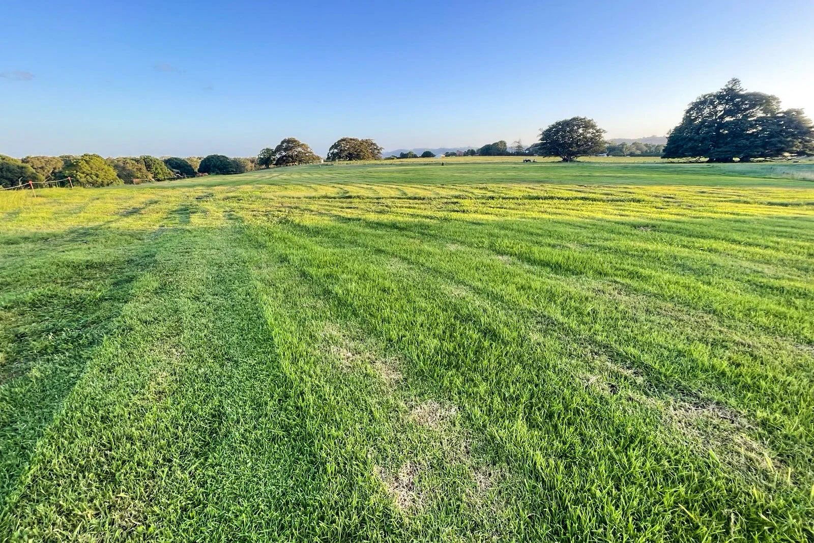 Additional image 13 of 160 Quarry Lane, Ewingsdale NSW 2481