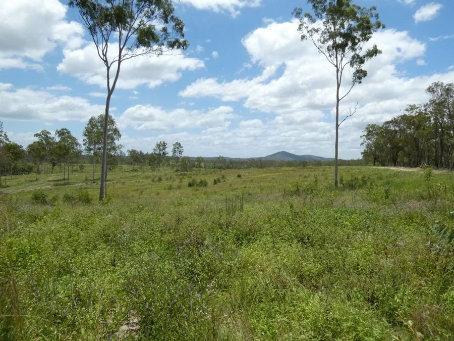 Additional image 16 of Lot 43 Moolyung Road, Waterloo QLD 4673