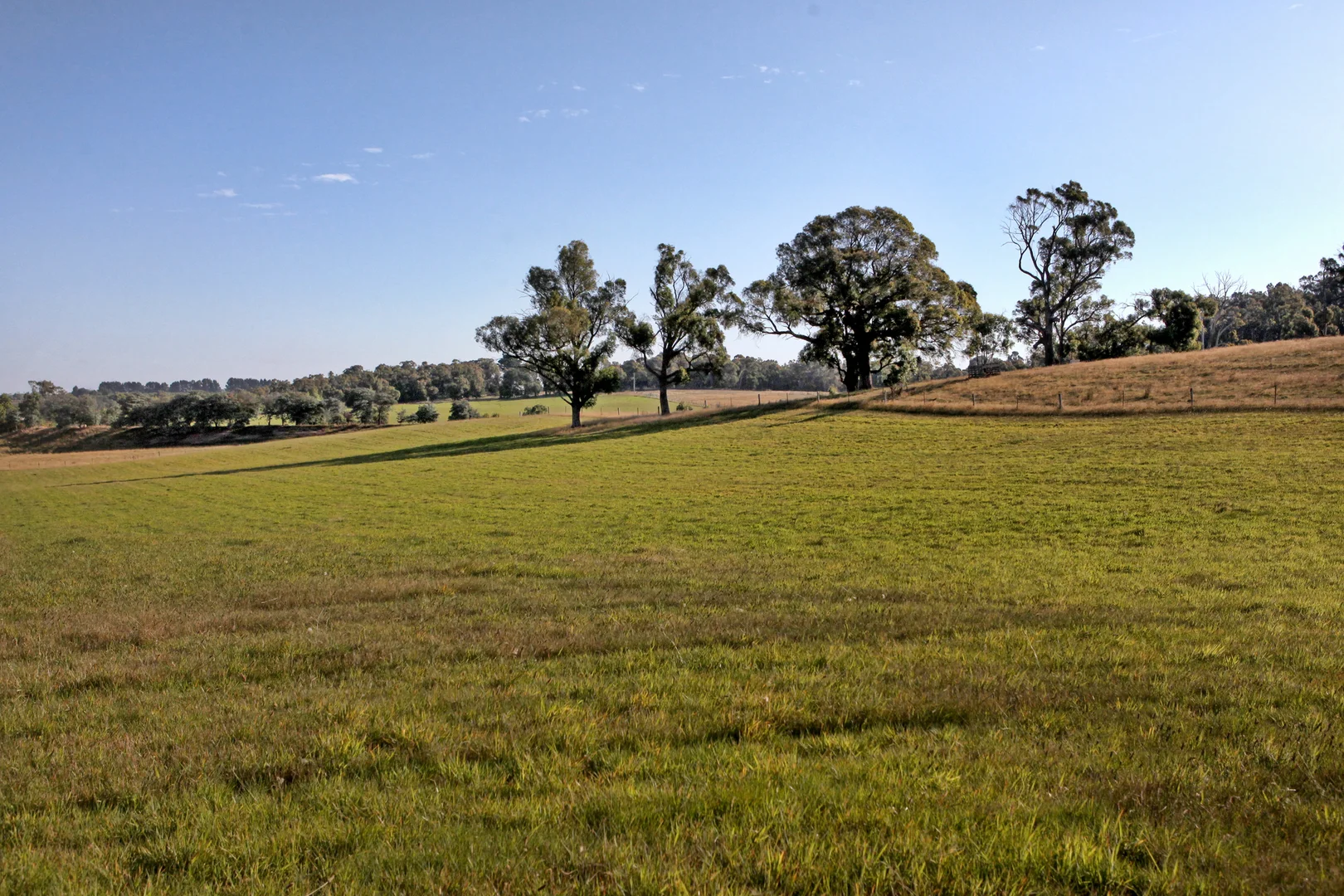 Additional image 25 of 125 Cemetery Road, Tylden VIC 3444