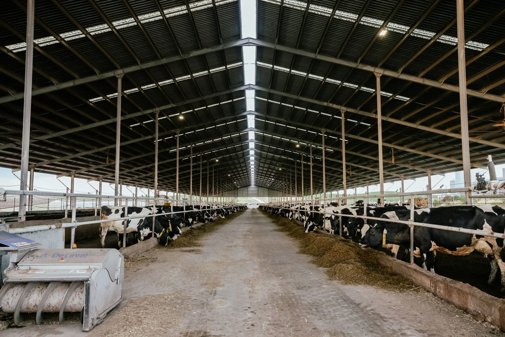 Additional image 8 of Meningie SA 5264