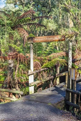 Additional image 9 of Lot 3 Springwood Circuit, Moe VIC 3825