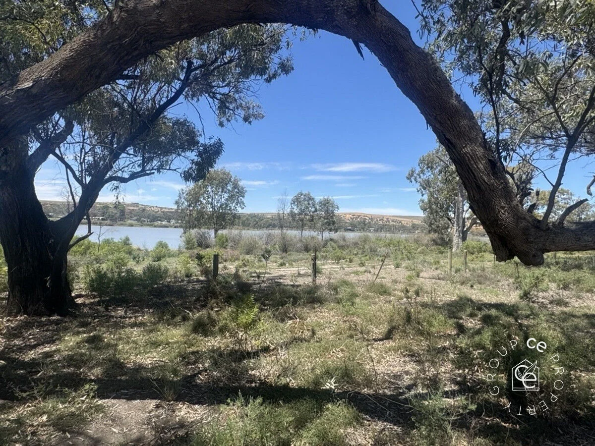 Additional image 4 of 73 Mallee Road, Walker Flat SA 5238