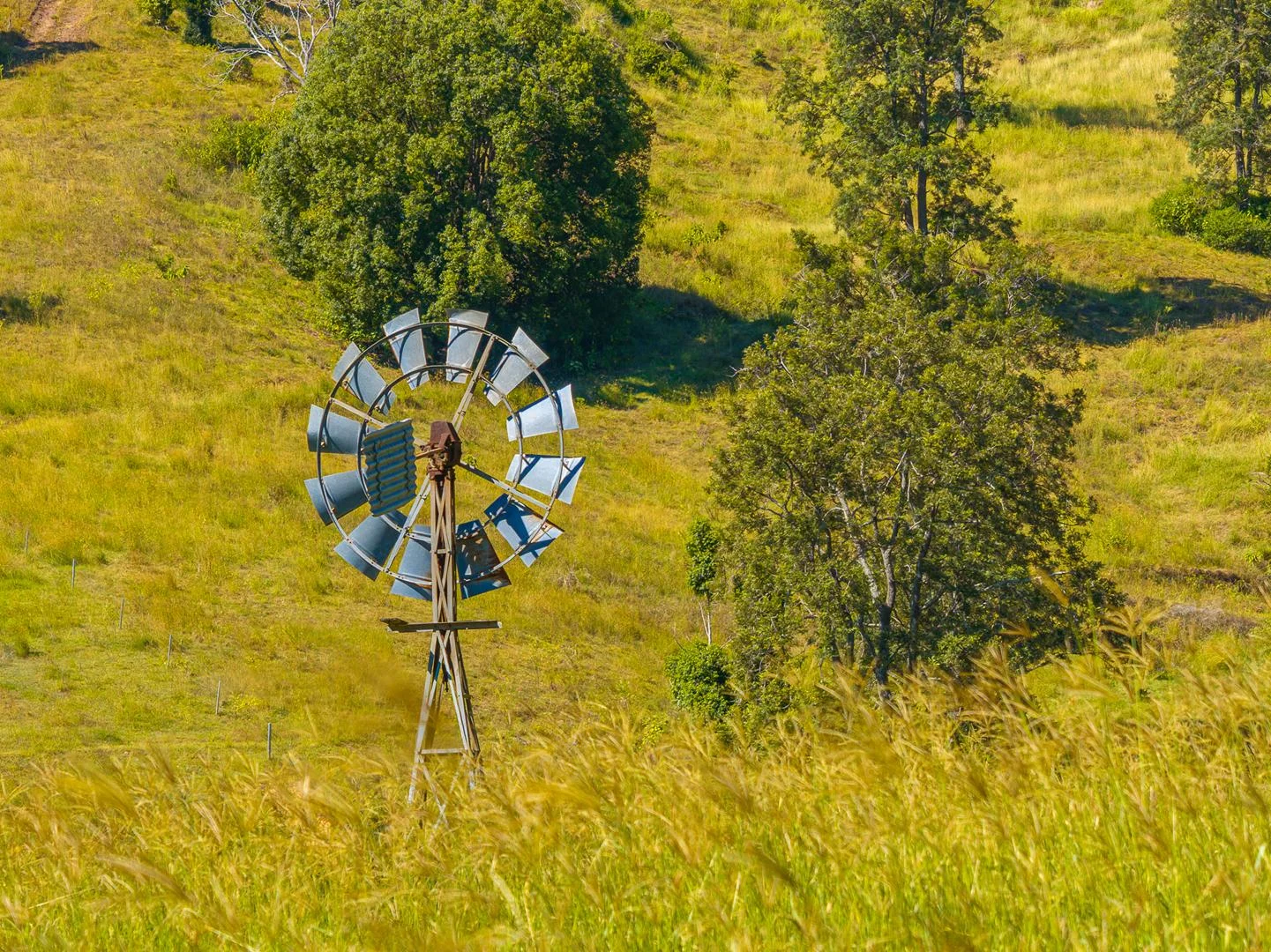 Additional image 21 of 343 Walli Mountain Road, Kenilworth QLD 4574