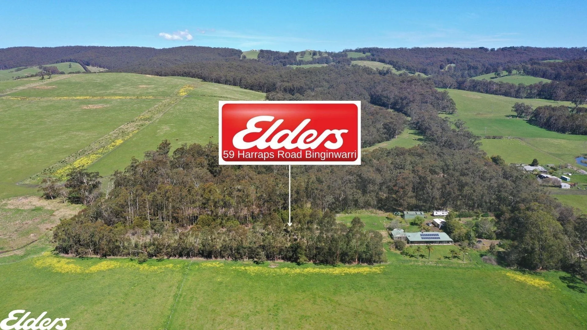 59 Harraps Road, Binginwarri VIC 3966