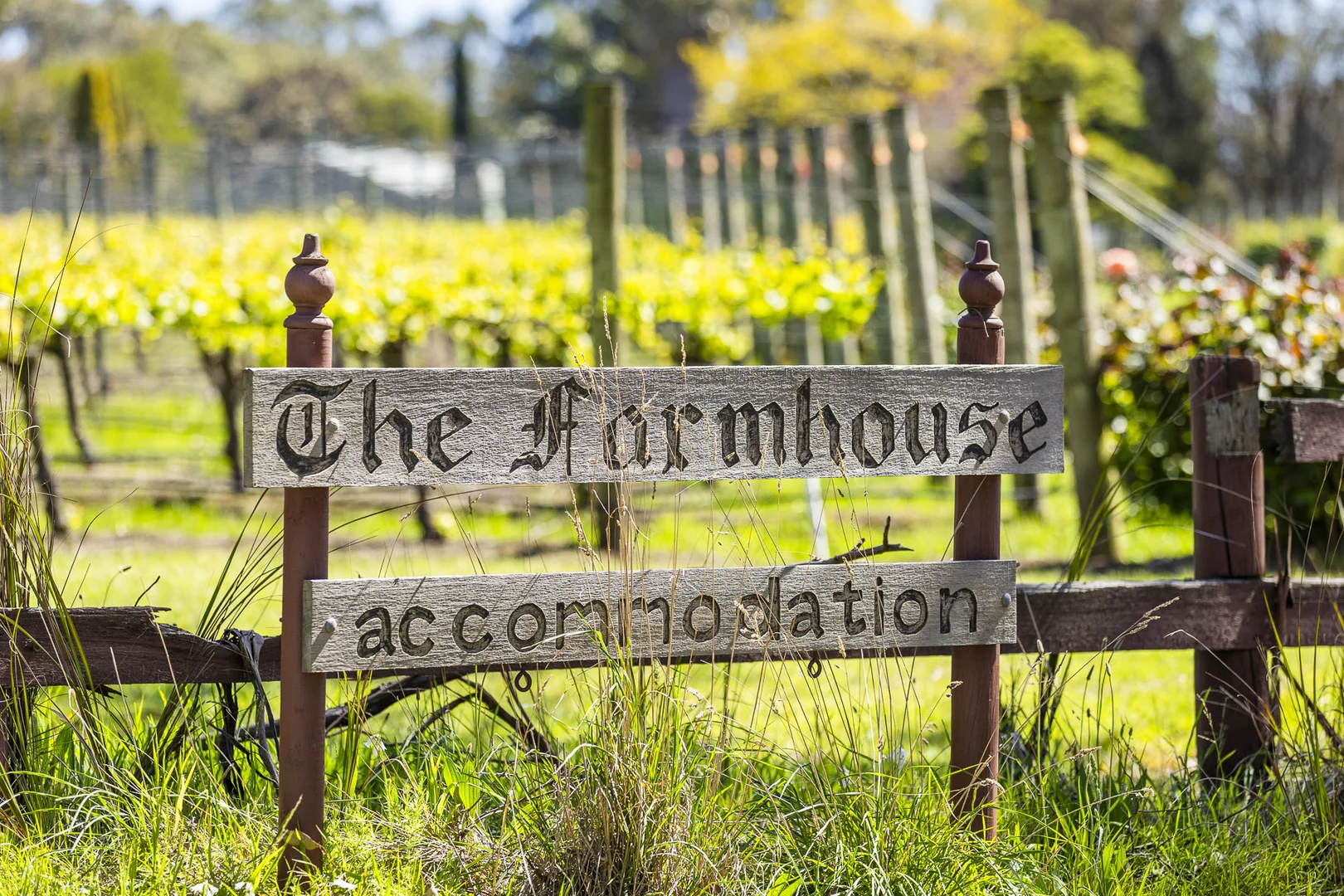 Additional image 7 of 437 Stumpy Gully Road, Balnarring VIC 3926