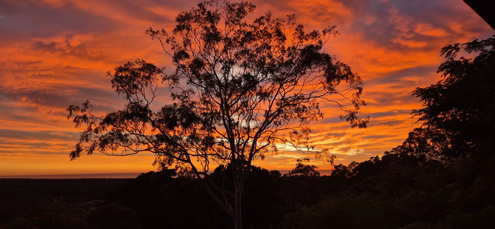 Additional image 4 of 32 Tongarra Drive, Ocean Shores NSW 2483