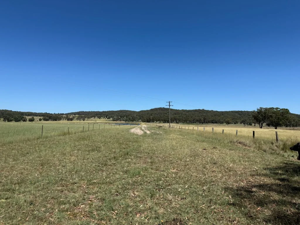 Lot 4 / 132 Eukey Road, Stanthorpe QLD 4380