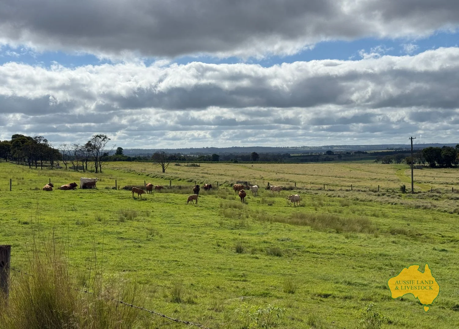 Additional image 21 of 544 WATTLEGROVE ROAD, Benair QLD 4610