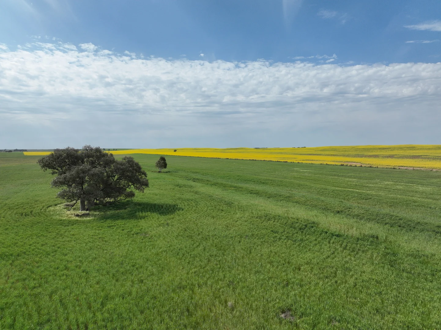 Additional image 9 of 0 Borung Highway, Jeffcott North VIC 3480
