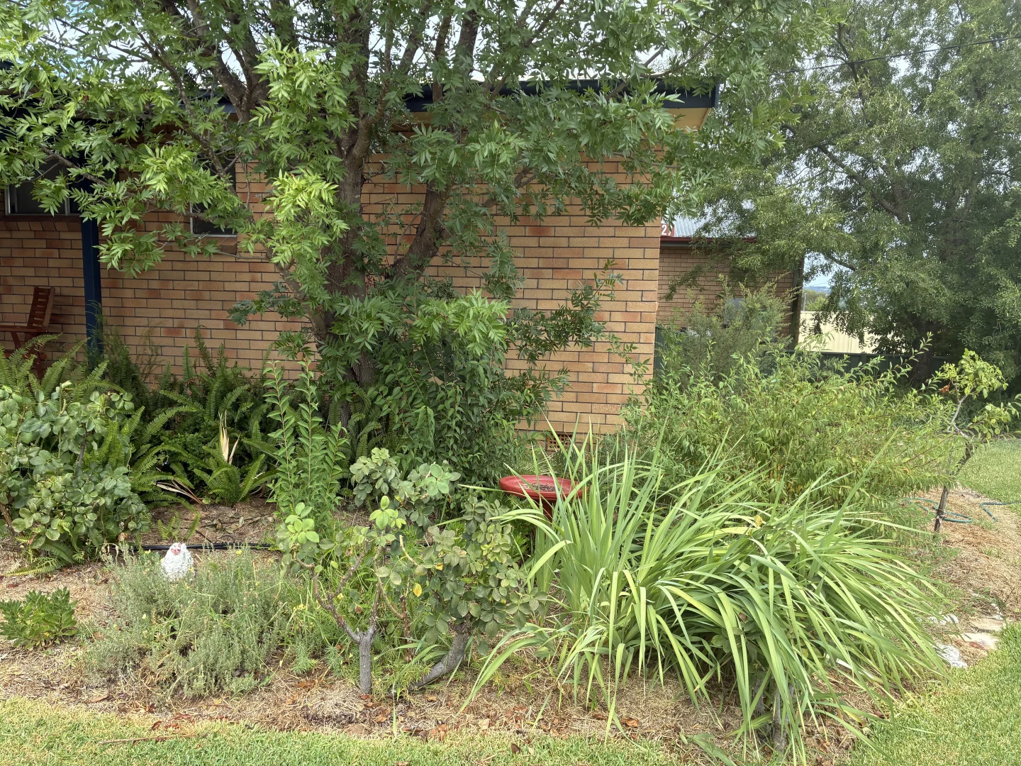 Additional image 19 of 27 Short St, Inverell NSW 2360