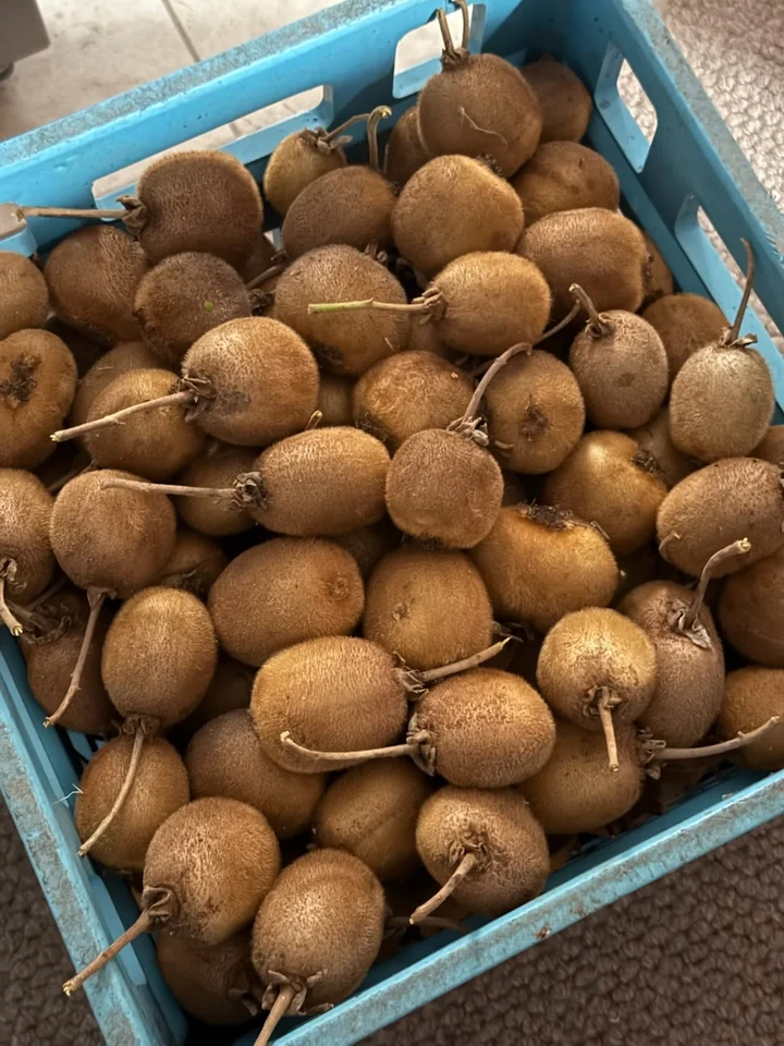 Additional image 29 of 112 David Street, East Devonport TAS 7310