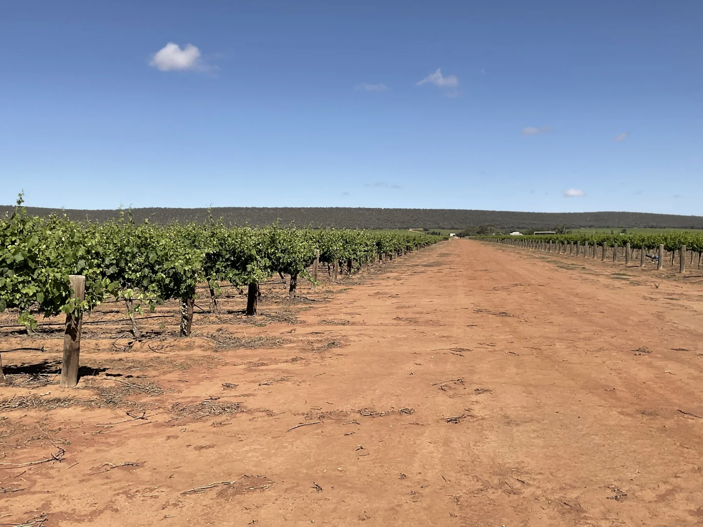 Additional image 7 of 1576 Rankins Springs Road, Myall Park NSW 2681