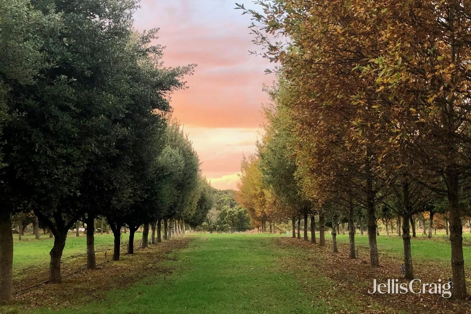 Additional image 5 of Black Cat Truffles Howards Road, Wattle Flat VIC 3352