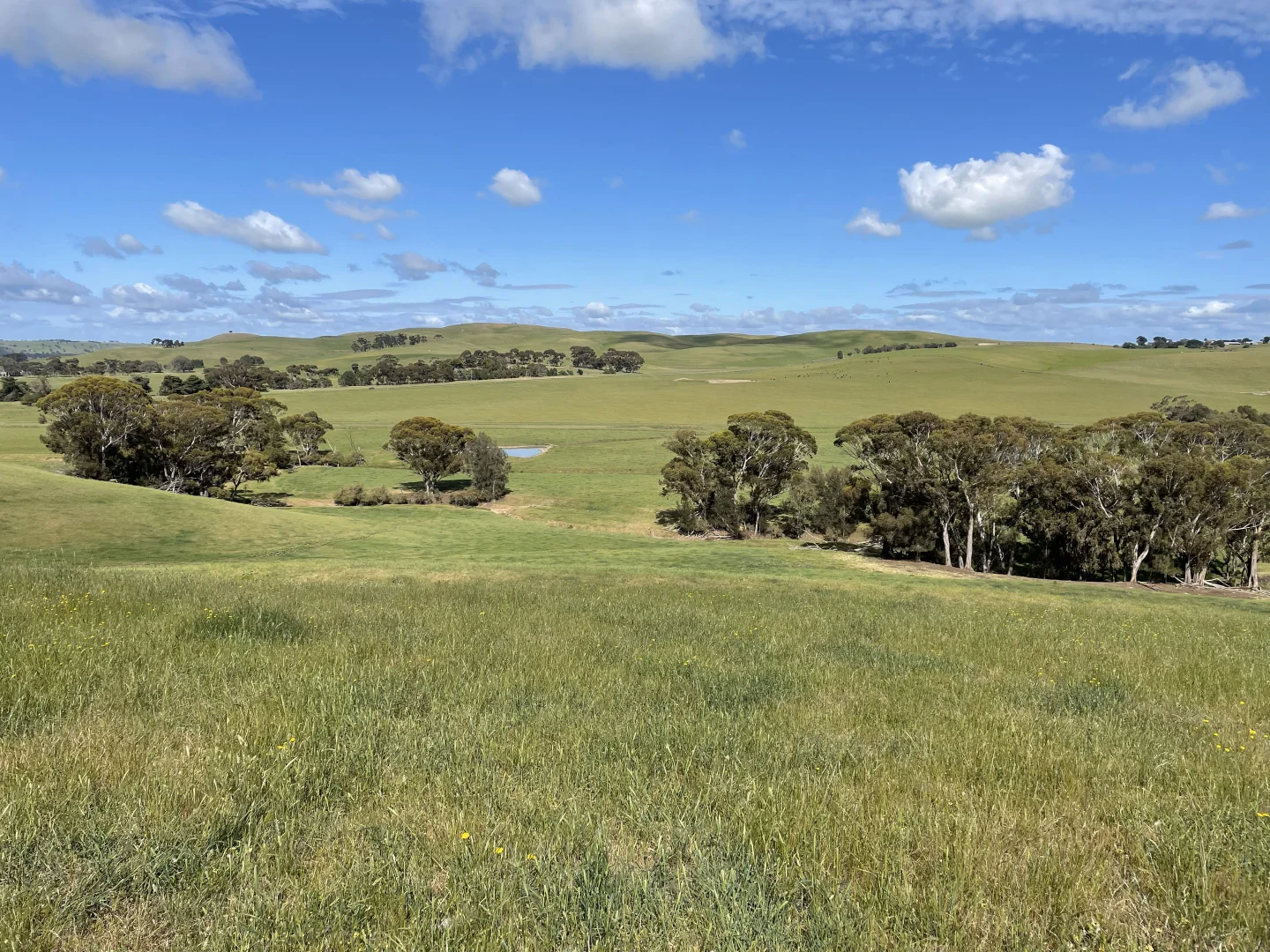 Additional image 5 of Cnr Glenelg Highway and Denhills Road, Coleraine VIC 3315