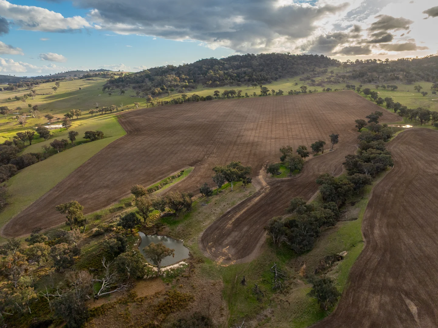 Additional image 24 of 1507 Pine Mount Road, Woodstock NSW 2793