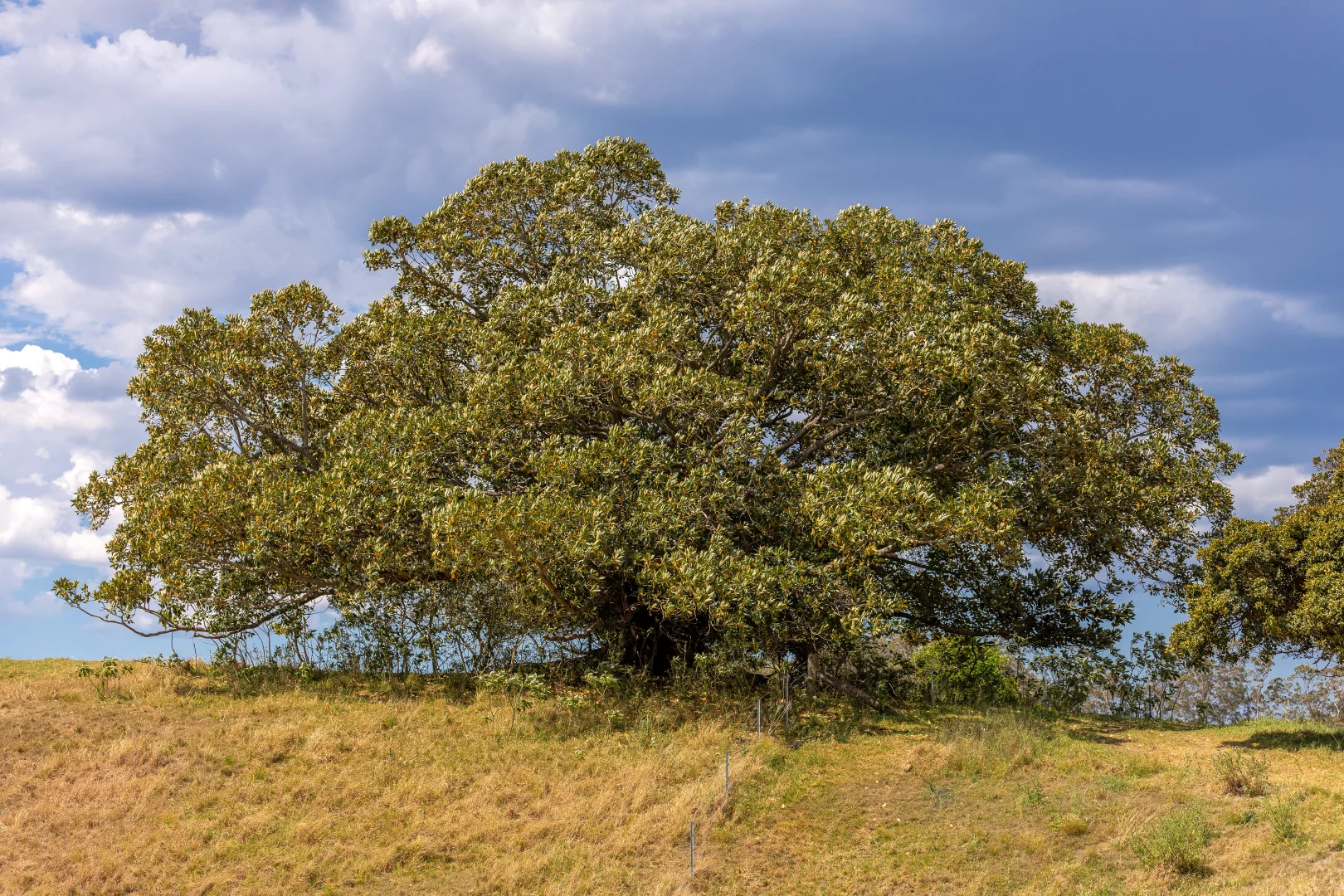 Additional image 27 of 129 Days Road, Belbora NSW 2422